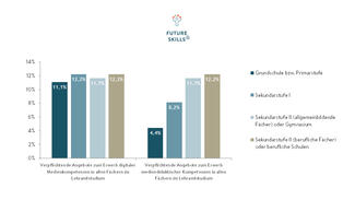 Future Skills für den Schulunterricht (Grafik)